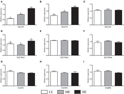 High energy diet of beef cows during gestation promoted growth performance of calves by improving placental nutrients transport